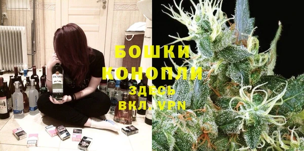 сатива Алексеевка