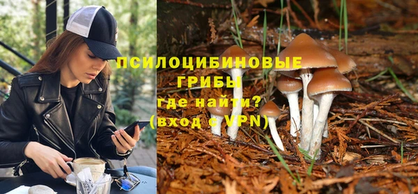 прущая мука Алзамай