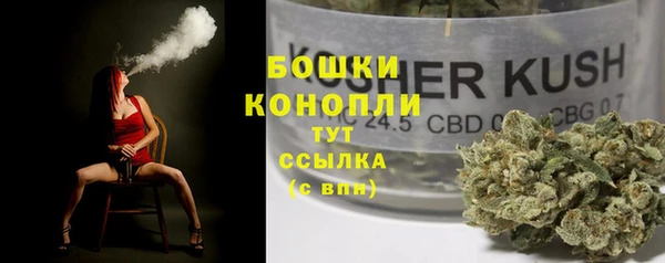 сатива Алексеевка