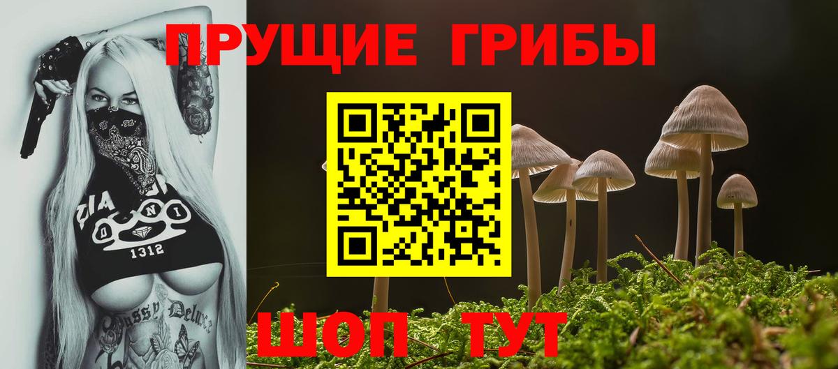 Дубна  Галлюциногенные грибы прущие грибы  Вход с VPN 